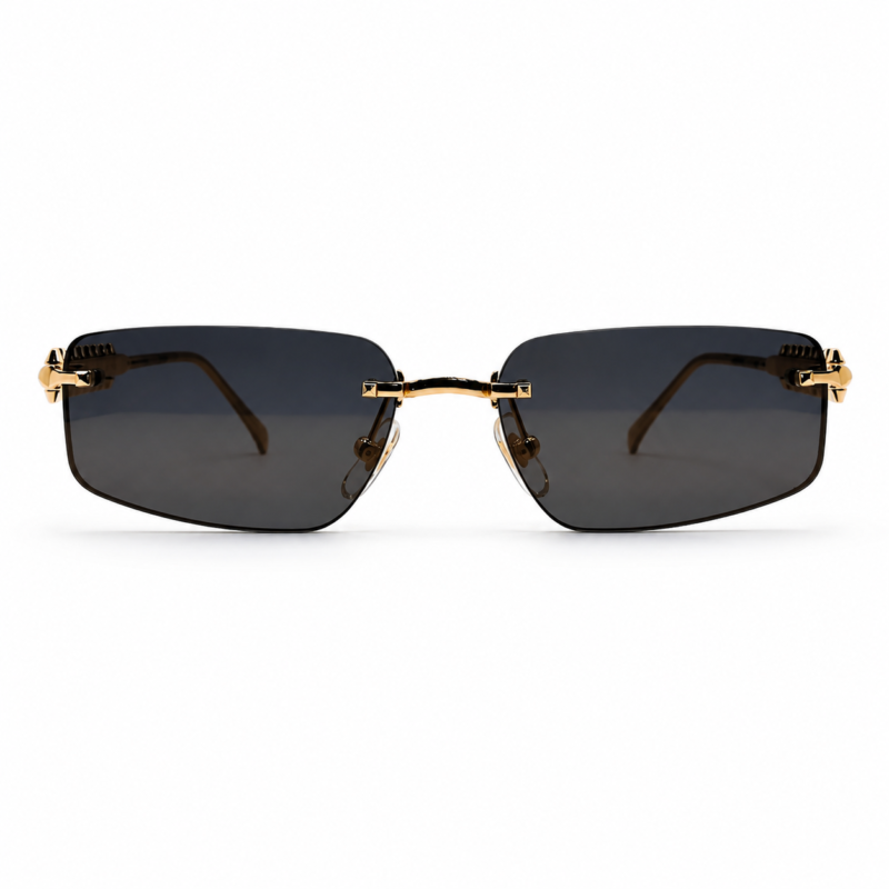 Santos de Cartier CT0535S